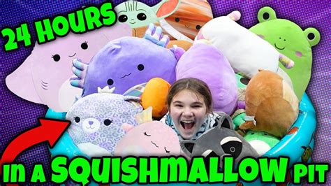 carly hd|24 Hours In A Squishmallow Pool! Carlaylee HD 24 Hour .